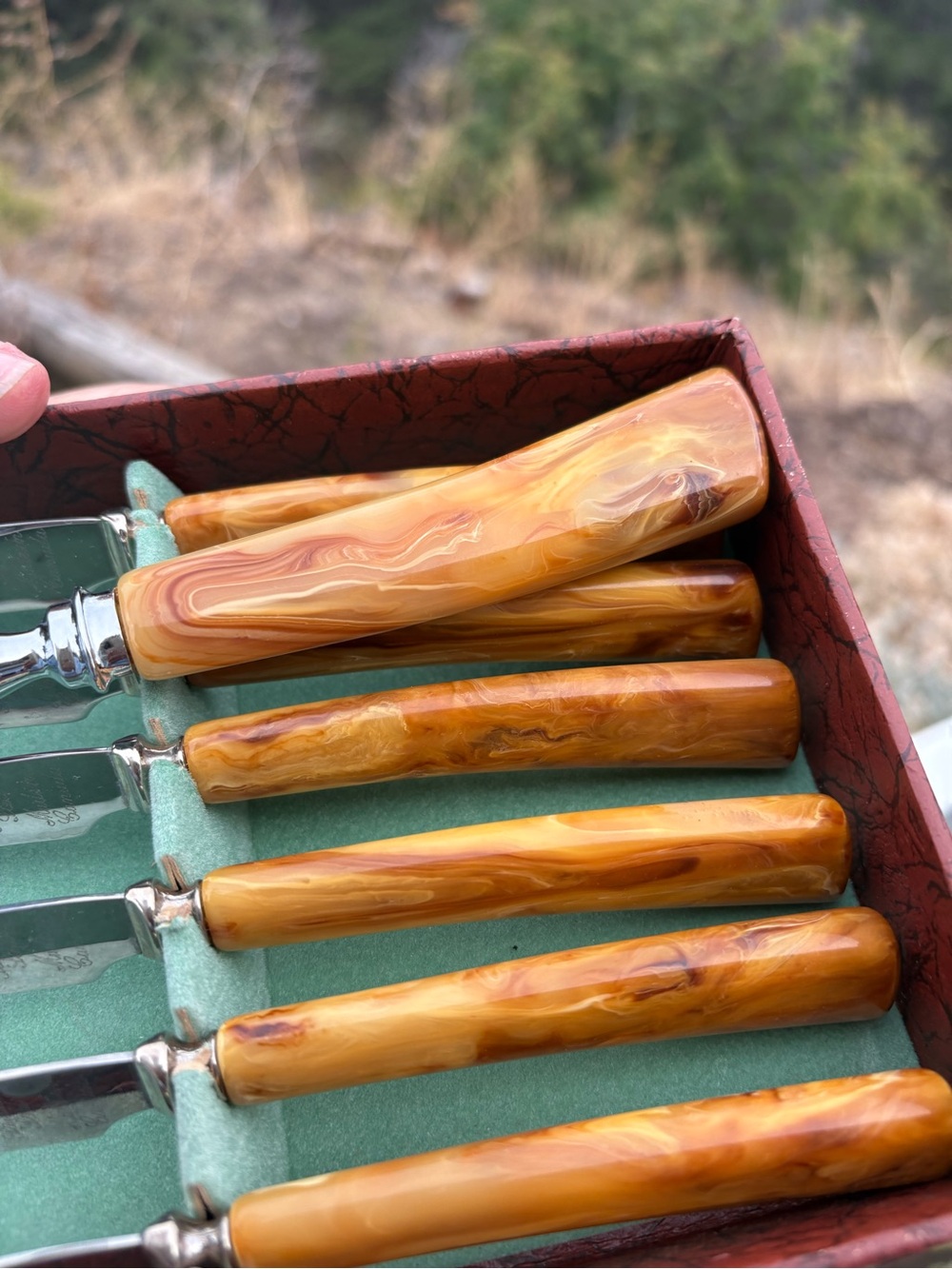 Bakelite Knife Set with Fork